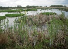 Picture 031